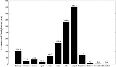 Groundwater monitoring and specific yield estimation using time-lapse electrical resistivity imaging and machine learning